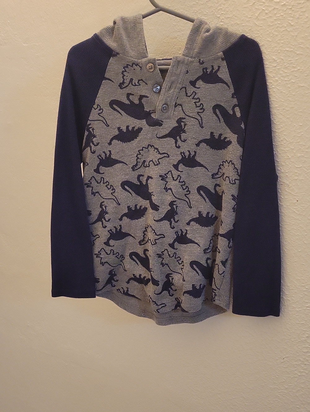 Kids Long-Sleeve Hooded Tee in Gray and Navy with Dino Print